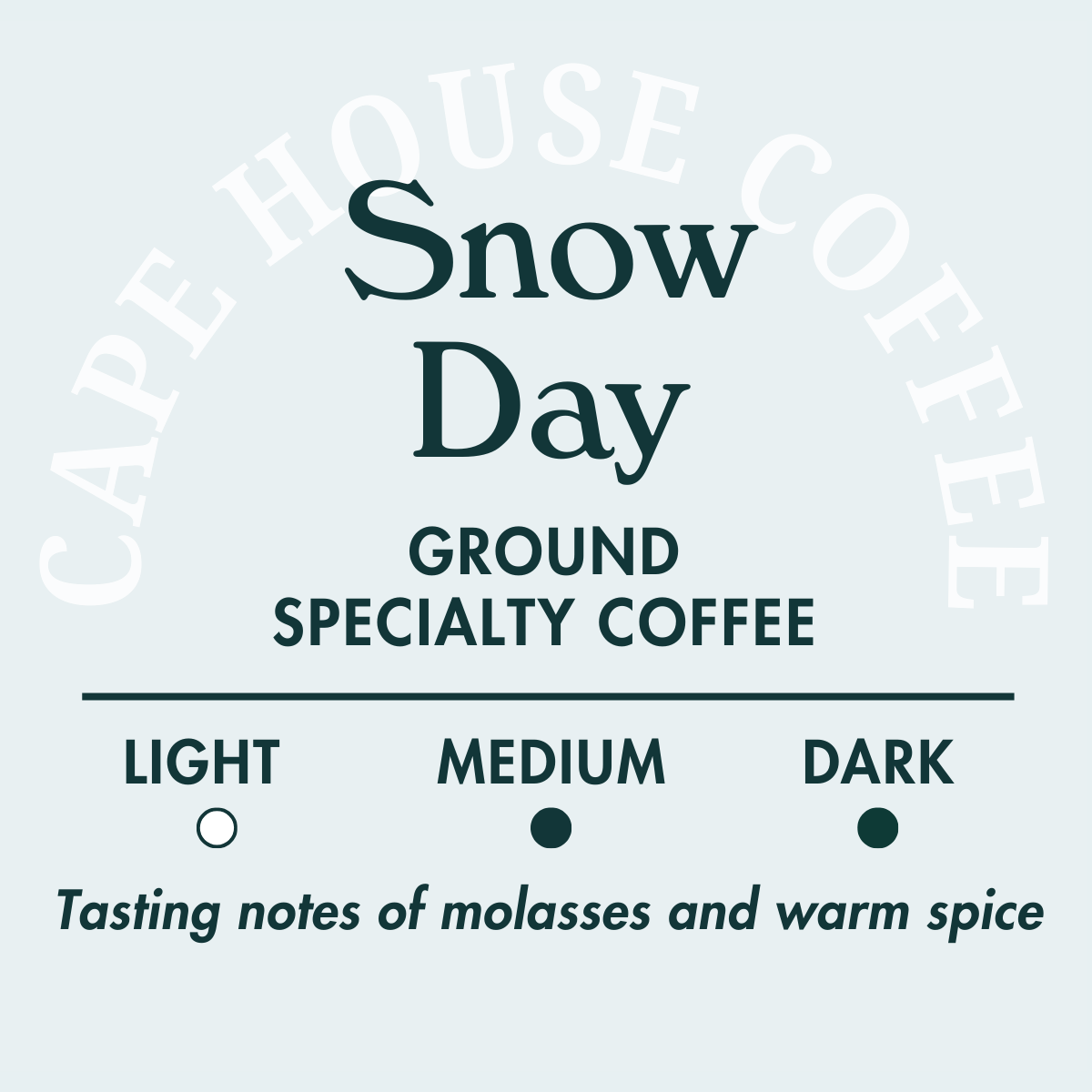 Snow Day